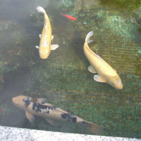 Boavista Ii 3* Melgaço