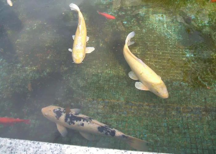 Boavista Ii 3* Melgaço